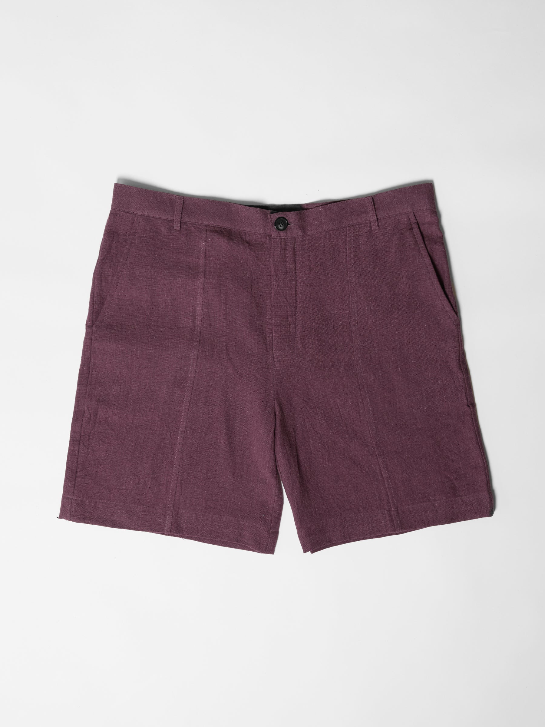 Men's Shorts- Aubergine Purple